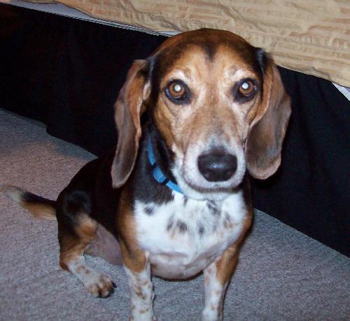 Tucker