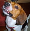 Petey II
