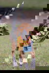 Dasher II