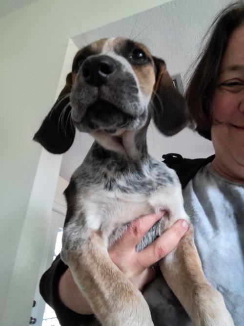 Mary's Pup Macbeth