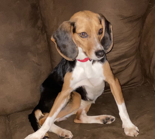 Minnie Mae