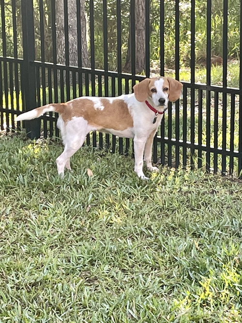 Sunny Girl