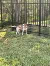 Sunny Girl