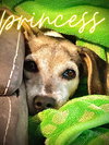 Princess Buttercup