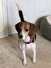 Ruthie