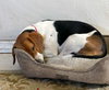 Sleepy