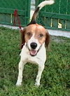 Tucker