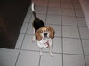 Tucker