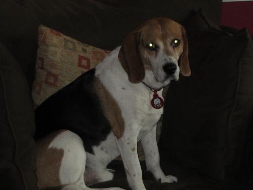 Tucker