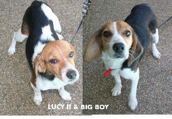 Lucy II