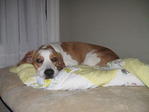 Jethro