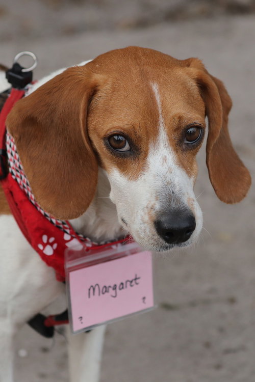 Margaret