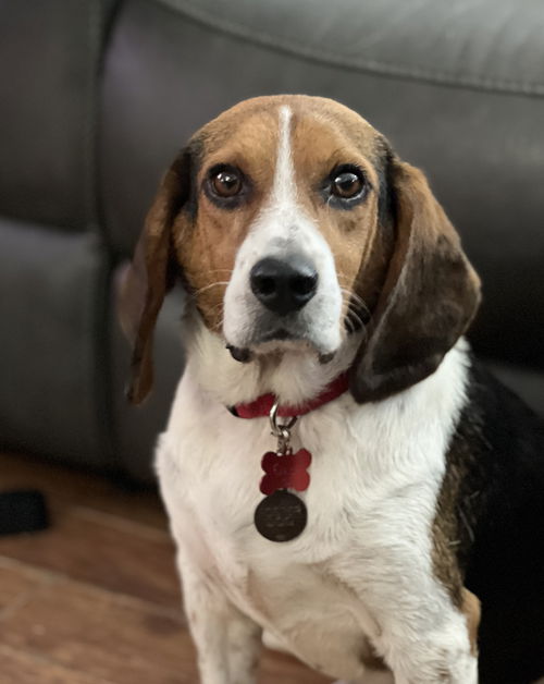 Roscoe V
