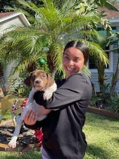 Tulip's Puppy Dia