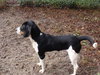 Thelma