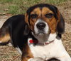 Thelma