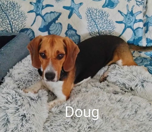 Doug