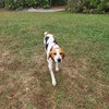 Daisy Jones