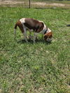 Big Girl