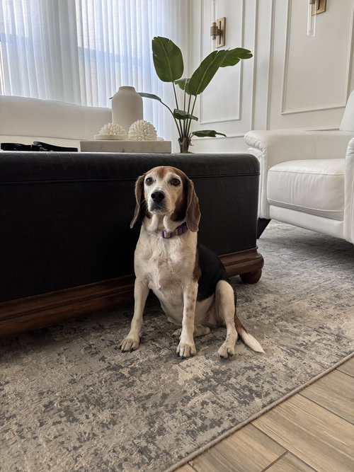Sadie Dee