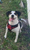 Penny- Courtesy Listing