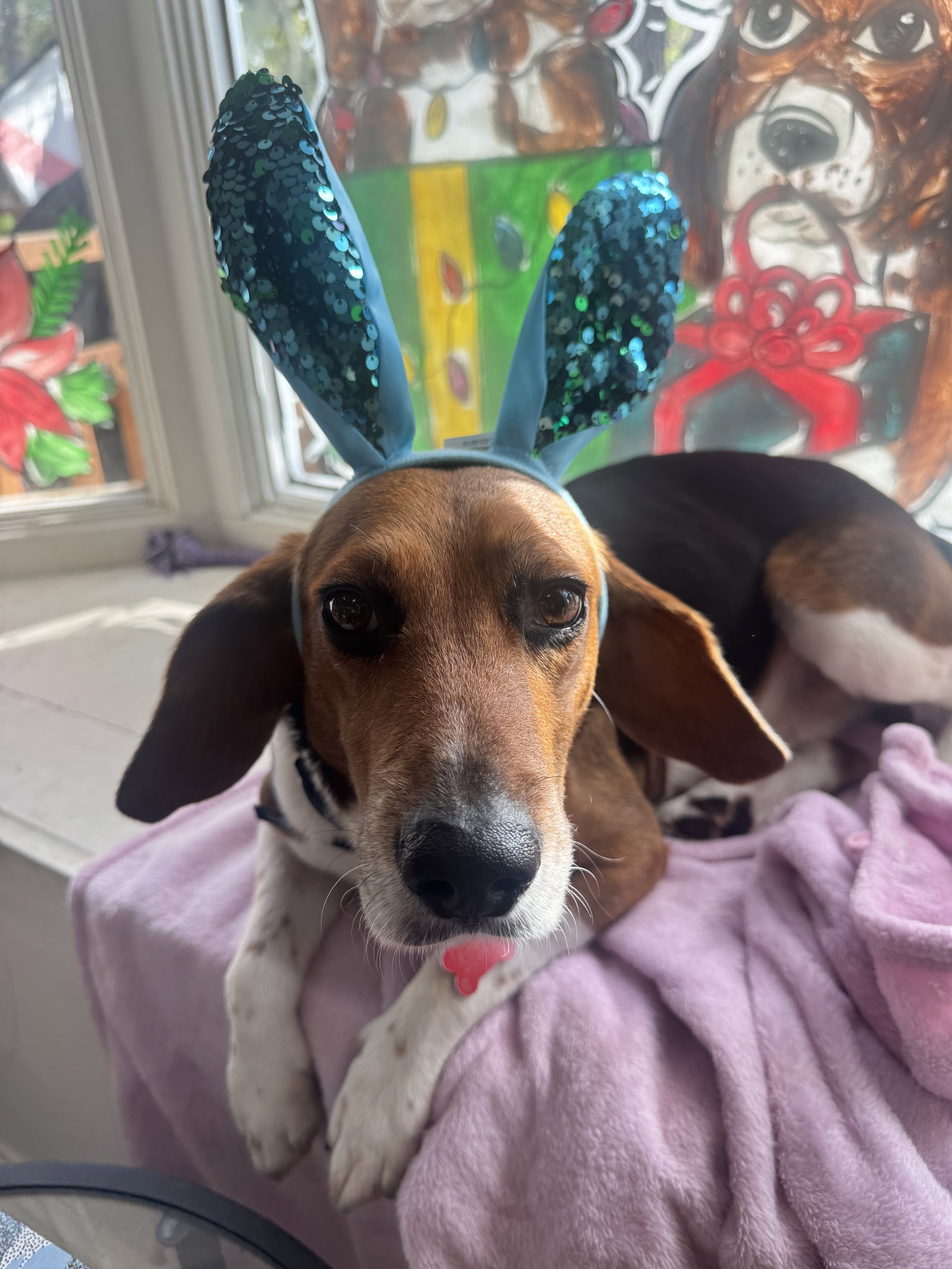 Beagle