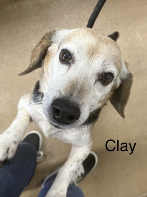 Clay II
