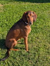 Courtesy Listing- Ruby