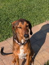 Courtesy Listing- Ruby