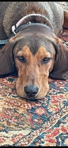 Courtesy Listing- Ruby
