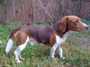 Cooper III
