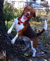Cooper III