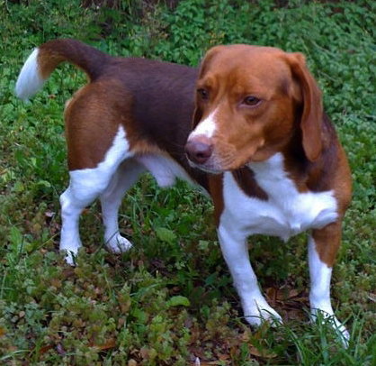 Cooper III