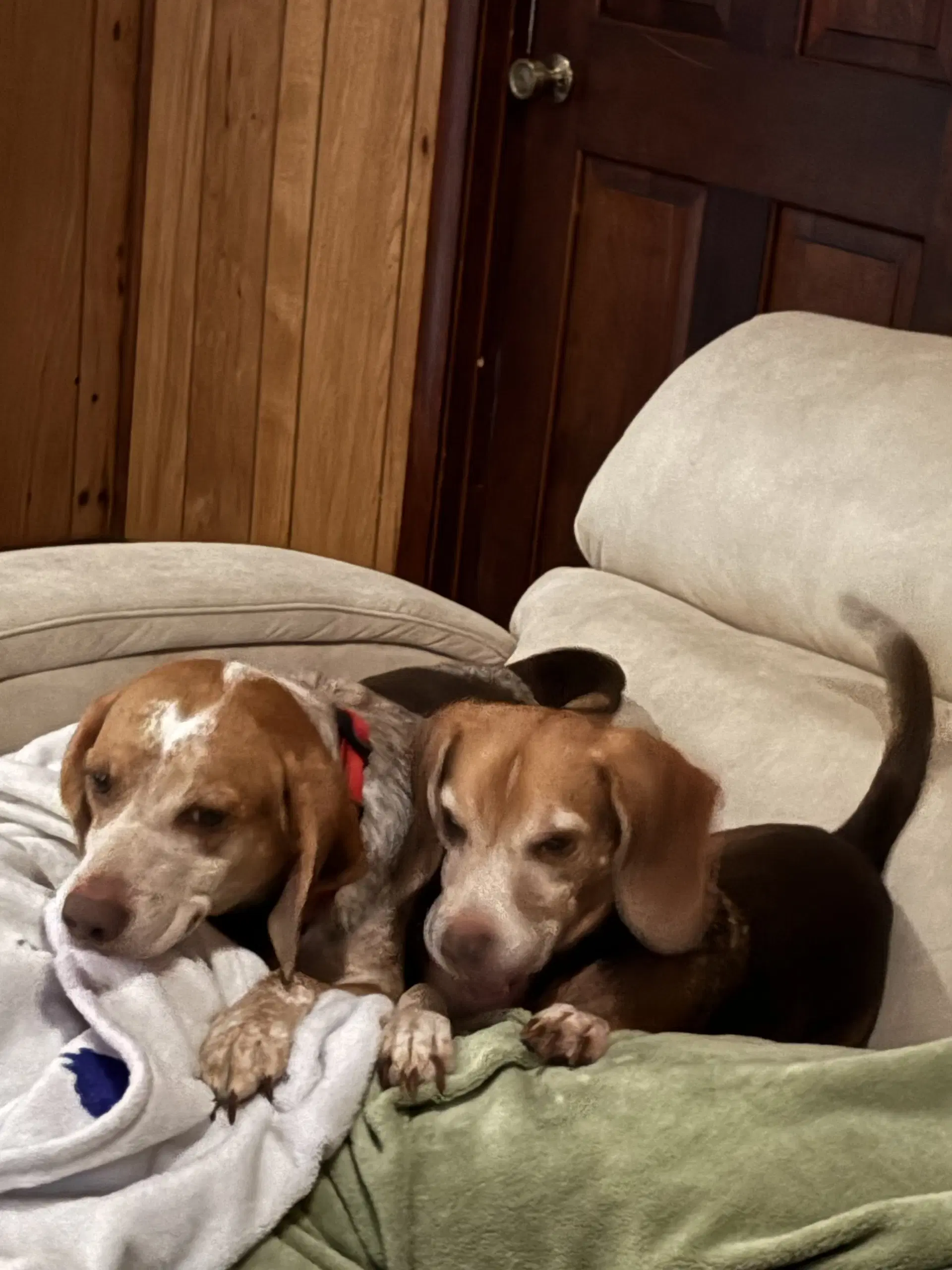 Angus And Rosie image 3