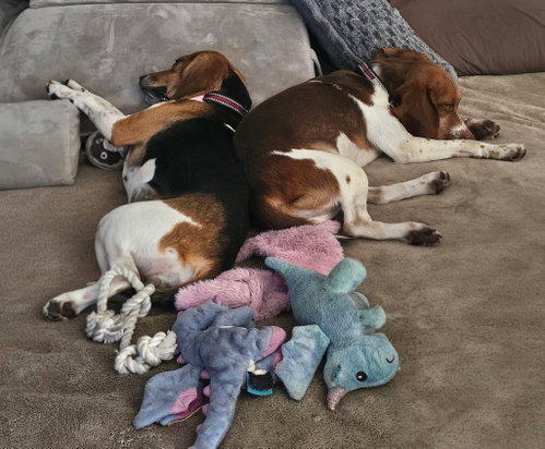 Penelope and Eugene photo 1