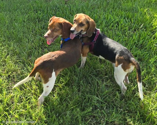 Penelope and Eugene