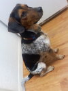 Mason II