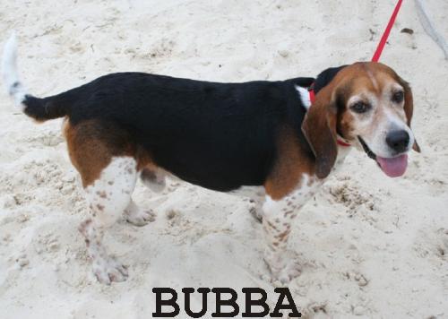 Bubba