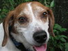 Axle
