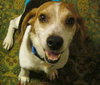 Axle