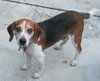 Axle
