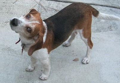 Axle