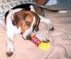 Beag