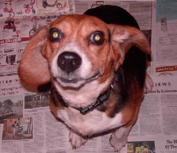 Matilda