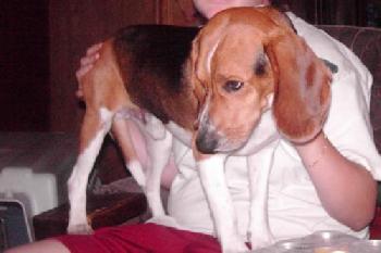 Coby