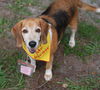 Daisy Lou