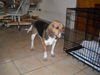 Ruth
