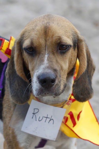 Ruth
