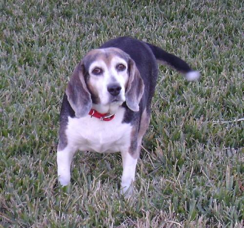 Mitzi