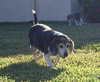 Mitzi